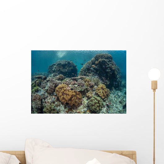 Beautiful Coral Reef Thrives Wall Decal Design 1