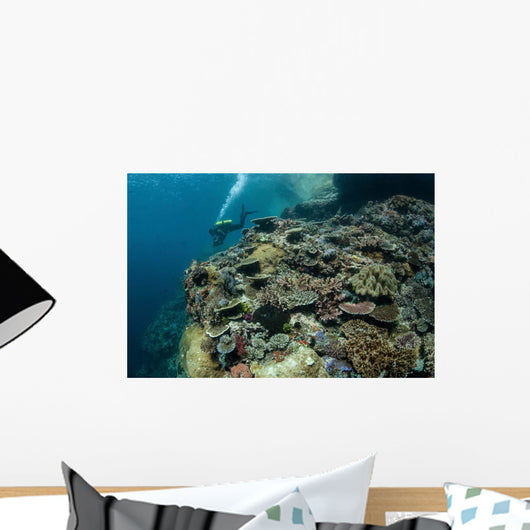 Scuba Diver Swims above Wall Decal Design 1