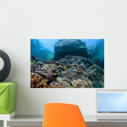 Beautiful Coral Reef Thrives Wall Decal Design 2