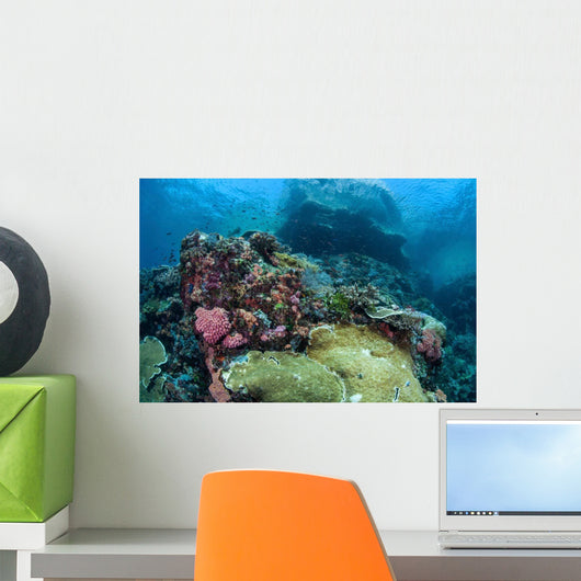Beautiful Coral Reef Thrives Wall Decal Design 1