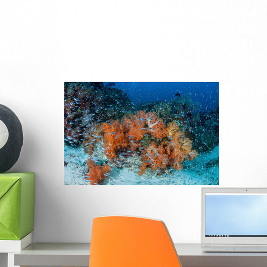 Cardinalfish Surround Beautiful Set Wall Decal Design 2
