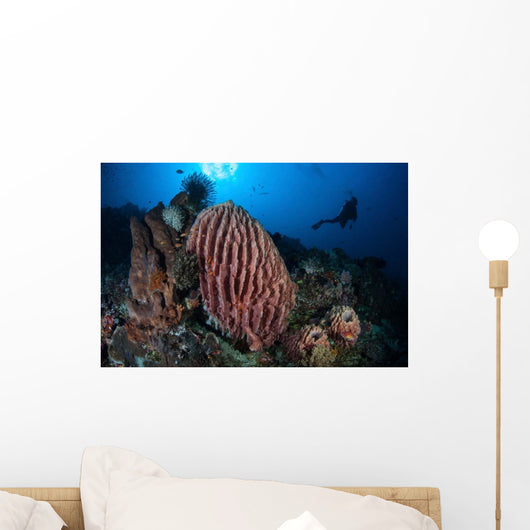 Scuba Diver Explores Reef Wall Decal