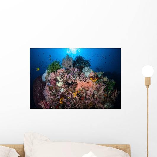 Beautiful Coral Reef Grows Wall Decal Design 1