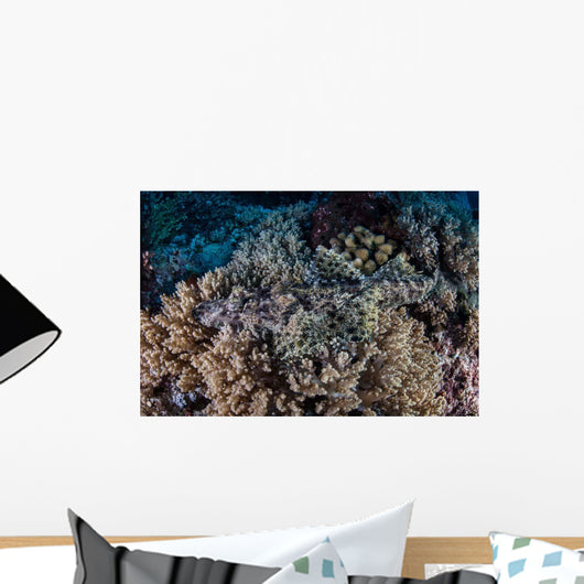 Well-camouflaged Crocodilefish Lies Coral Wall Decal Design 1