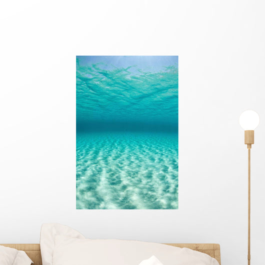 Bright Sunlight Ripples across Wall Decal