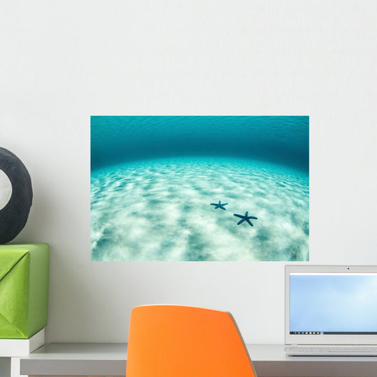 Starfish Brightly Lit Seafloor Wall Decal Design 3