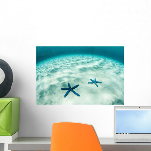 Starfish Brightly Lit Seafloor Wall Decal Design 2