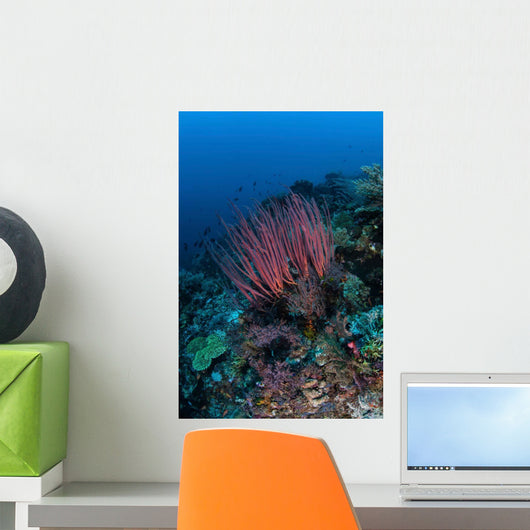 Colony Sea Whips Grows Wall Decal