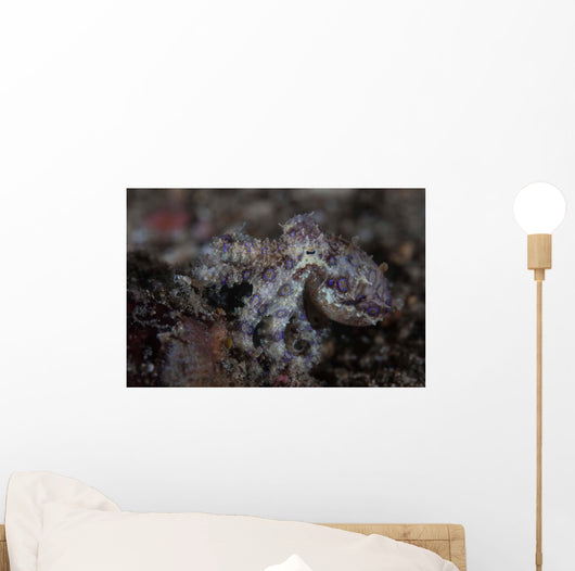 Blue-ringed Octopus Lings to Wall Decal