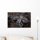 Blue-ringed Octopus Lings to Wall Decal