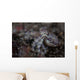 Blue-ringed Octopus Lings to Wall Decal