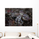 Blue-ringed Octopus Lings to Wall Decal