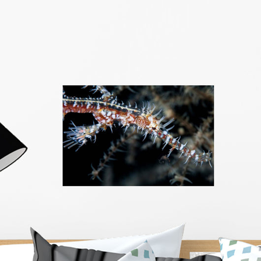 Ornate Ghost Pipefish Blends Wall Decal Design 3