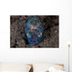 Bobtail Squid Emerges from Wall Decal