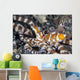 Wonderpus Octopus Lembeh Strait Wall Decal
