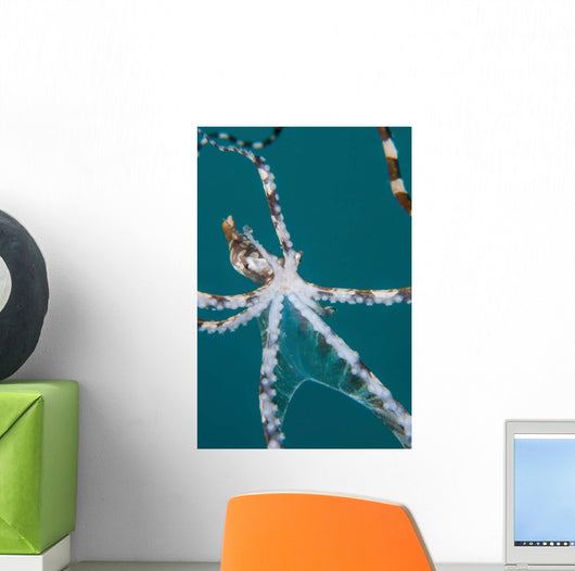 Wonderpus Octopus Found Lembeh Wall Decal Design 2