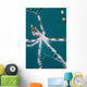 Wonderpus Octopus Found Lembeh Wall Decal Design 2