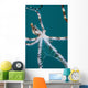 Wonderpus Octopus Found Lembeh Wall Decal Design 2