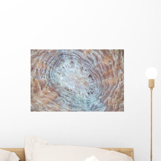 Detail Large Coral Polyp Wall Decal Design 1