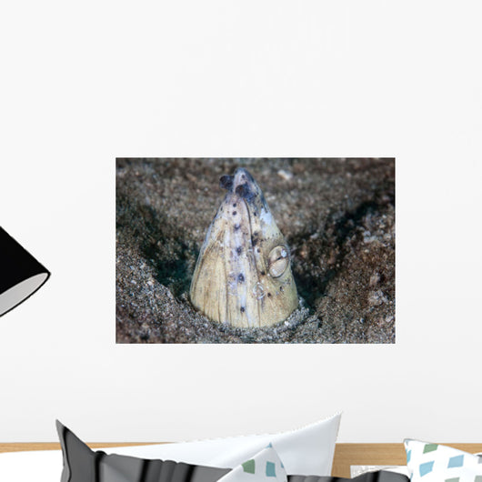 Tiny Cleaner Shrimp Removes Wall Decal Design 2