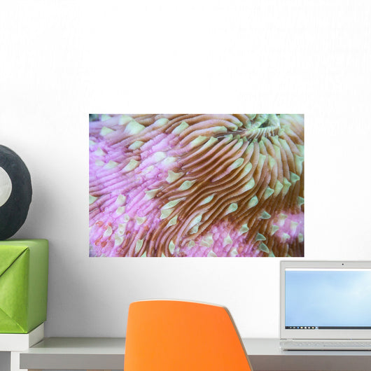 Detail Beautiful Mushroom Coral Wall Decal