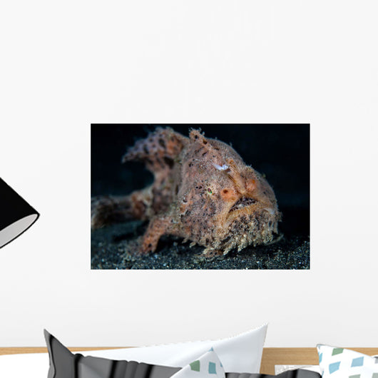 Hairy Frogfish Lembeh Strait Wall Decal Design 2