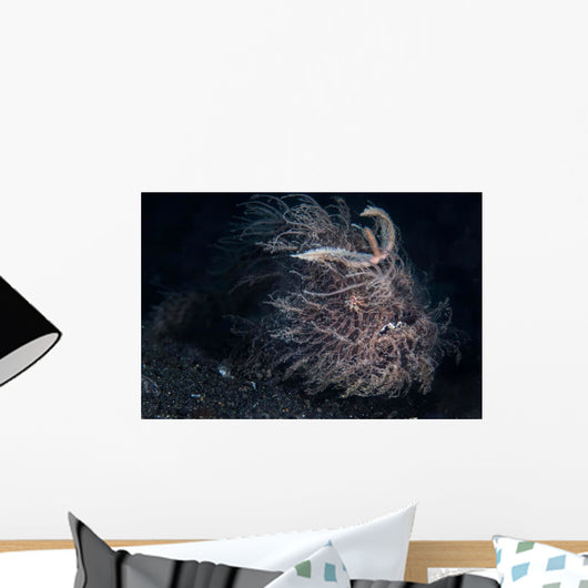 Hairy Frogfish Lembeh Strait Wall Decal Design 1