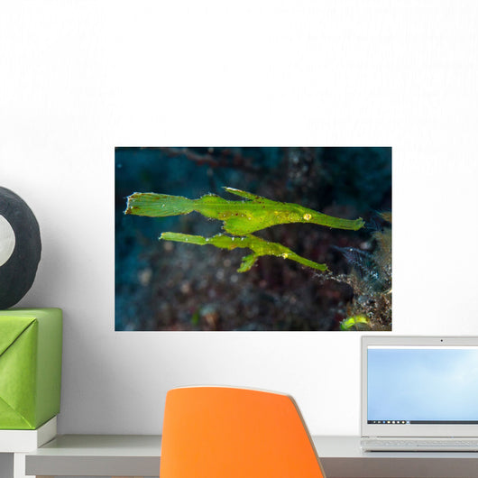 Pair Robust Ghost Pipefish Wall Decal