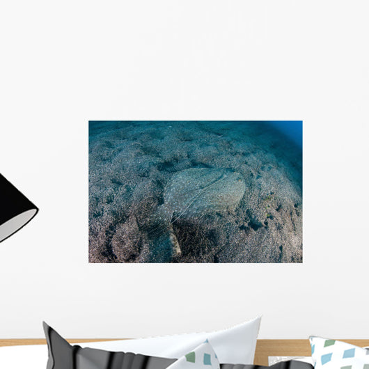 Flounder Blends into Its Wall Decal