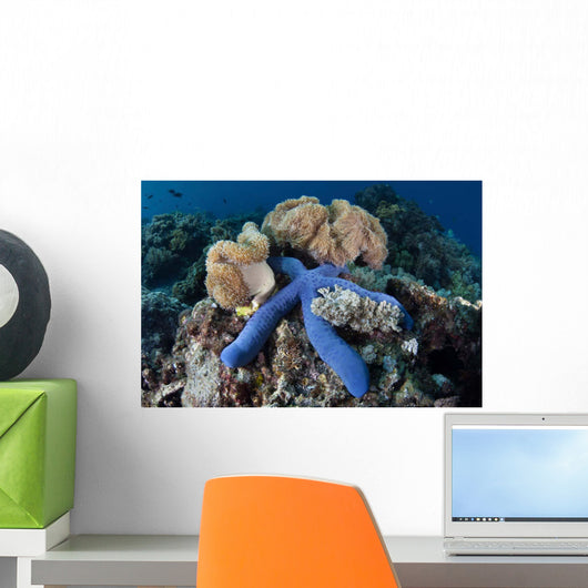 Blue Starfish Clings to Wall Decal Design 5