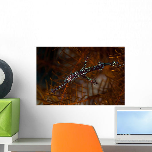 Ornate Ghost Pipefish Blends Wall Decal Design 1