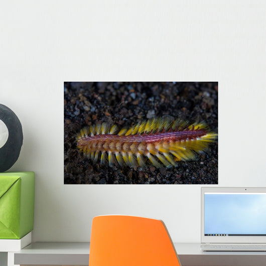 Darklined Fireworm Crawls across Wall Decal