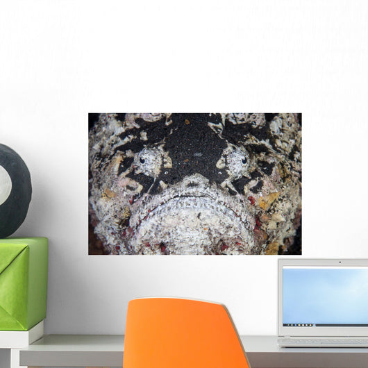 Reef Stonefish Blends into Wall Decal