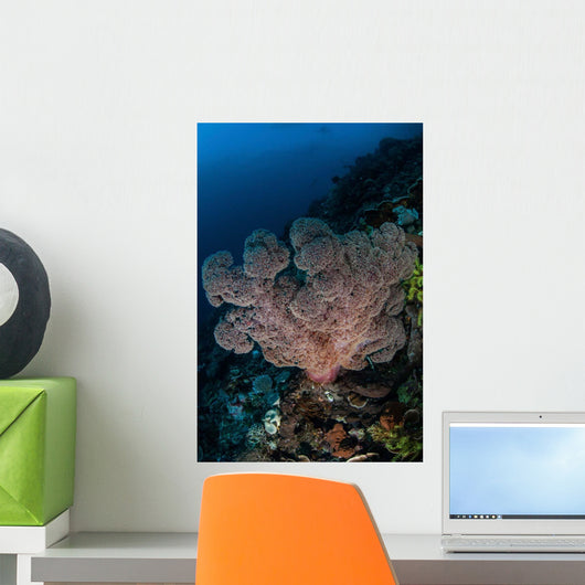 Large Soft Coral Colony Wall Decal Design 2