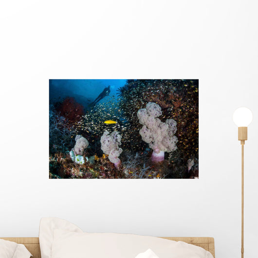 Golden Sweepers Surround Soft Wall Decal Design 2