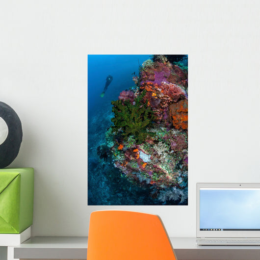 Diver Hovers above Colorful Wall Decal