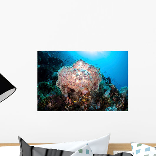 Beautiful Soft Coral Colony Wall Decal Design 3