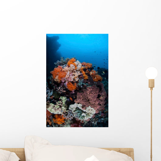 Soft Corals Sponges and Wall Decal Design 3