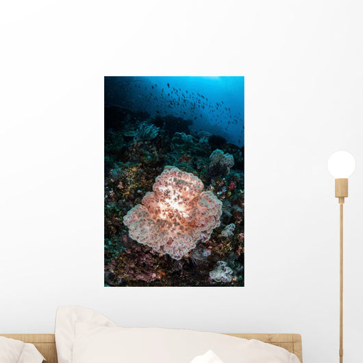 Beautiful Soft Coral Colony Wall Decal Design 2