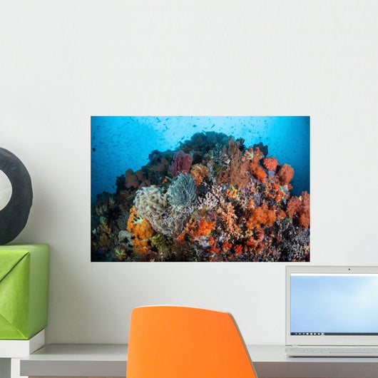 Soft Corals Sponges and Wall Decal Design 2