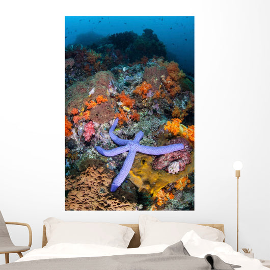 Beautiful Starfish Lays Thriving Wall Decal Design 3