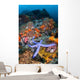Beautiful Starfish Lays Thriving Wall Decal Design 3
