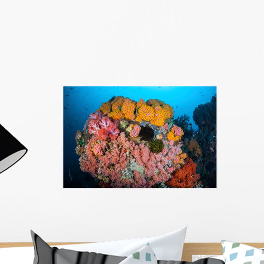 Soft Corals Sponges and Wall Decal Design 1