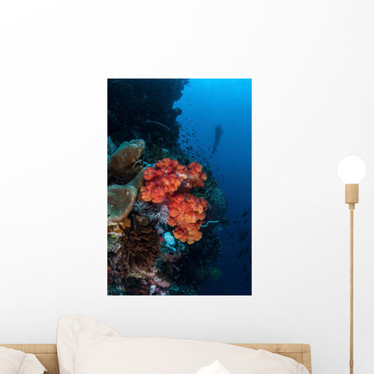 Beautiful Soft Coral Colony Wall Decal Design 1