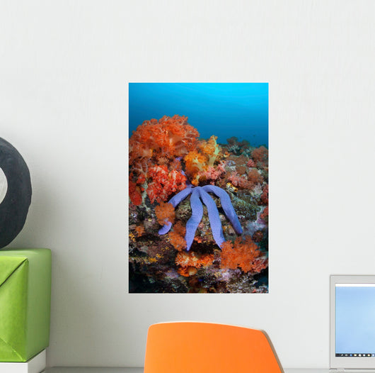 Beautiful Starfish Lays Thriving Wall Decal Design 1