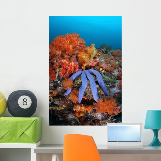 Beautiful Starfish Lays Thriving Wall Decal Design 1