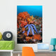 Beautiful Starfish Lays Thriving Wall Decal Design 1