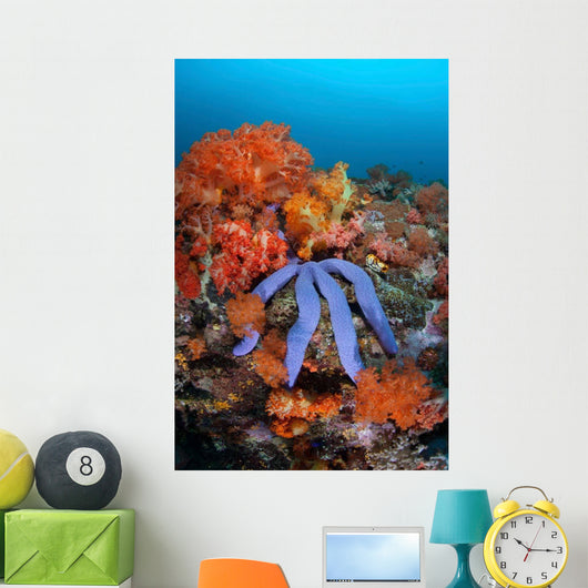 Beautiful Starfish Lays Thriving Wall Decal Design 1