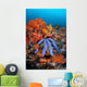 Beautiful Starfish Lays Thriving Wall Decal Design 1