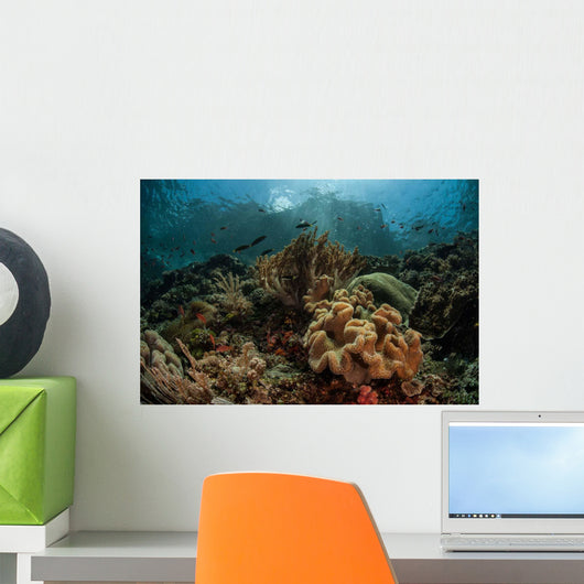 Beautiful Coral Reef Grows Wall Decal